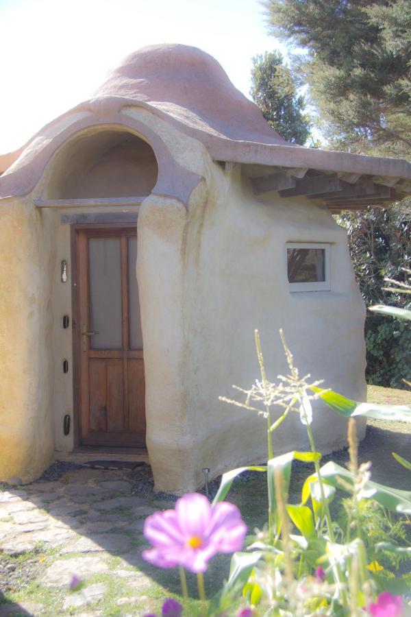 Solscape Villa Raglan Luaran gambar